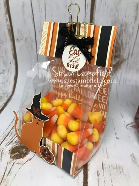 Hallloween Spooky Cat Gusseted Lined Treat Bag - 1