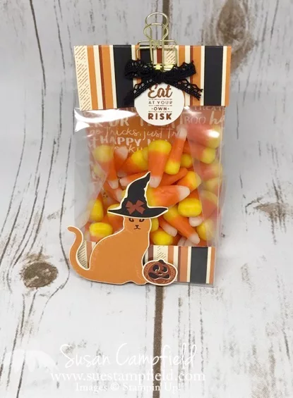 Hallloween Spooky Cat Gusseted Lined Treat Bag - 9